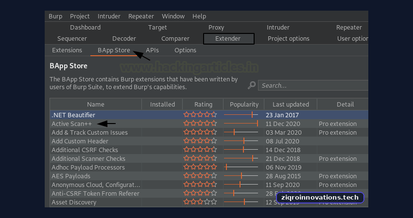 Burp Suite for Pentester: Active Scan++